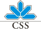 CSS Logo